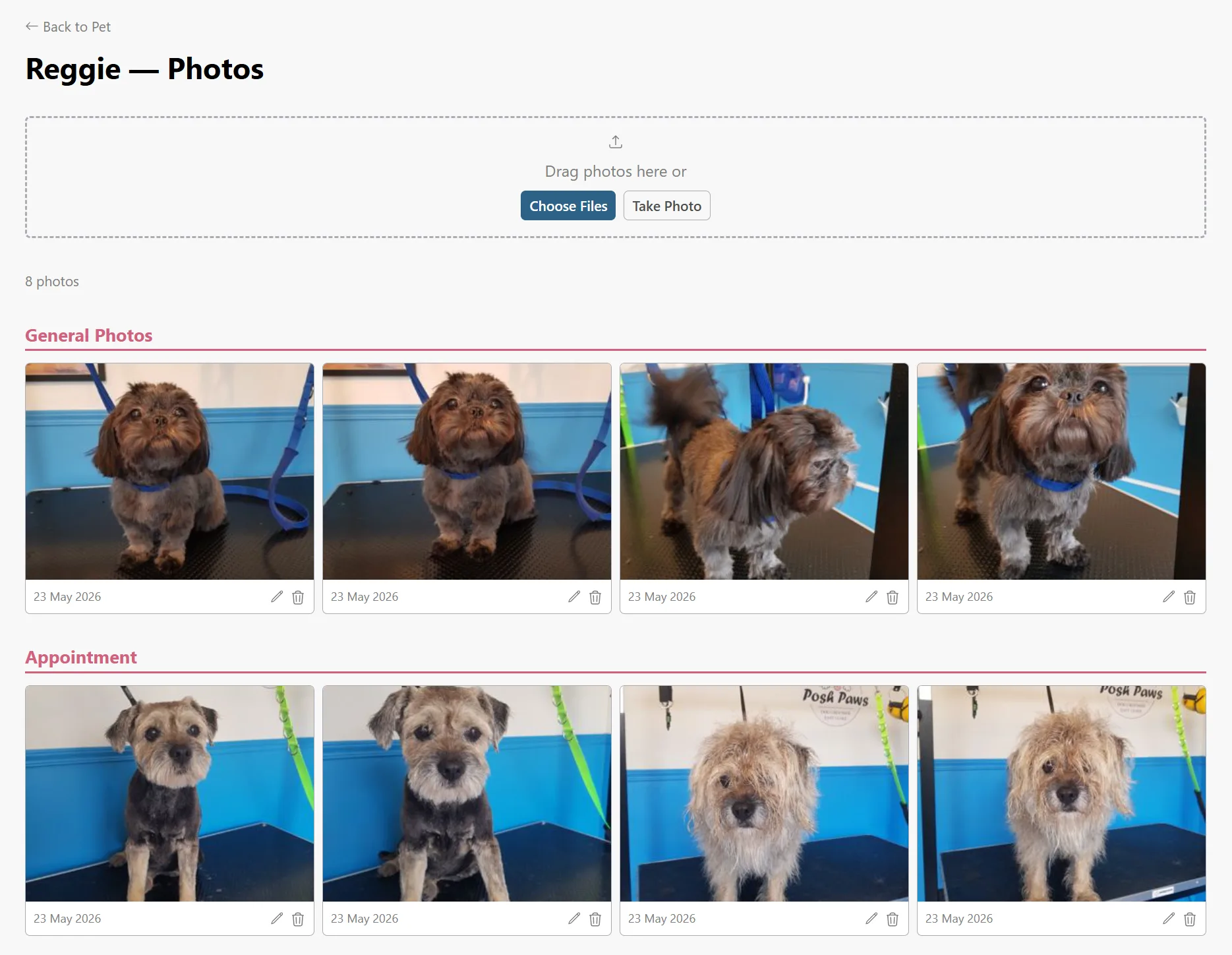 A pet's before-and-after grooming photo gallery in Woofle